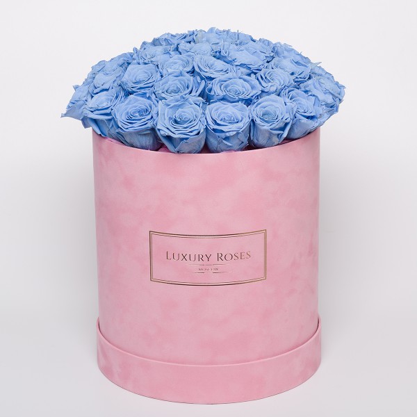 Букет 35 голубых роз в розовой бархатной коробке