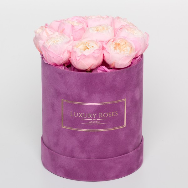 Букет 11 Розово-желтых пионовидных роз в бархатной коробочке