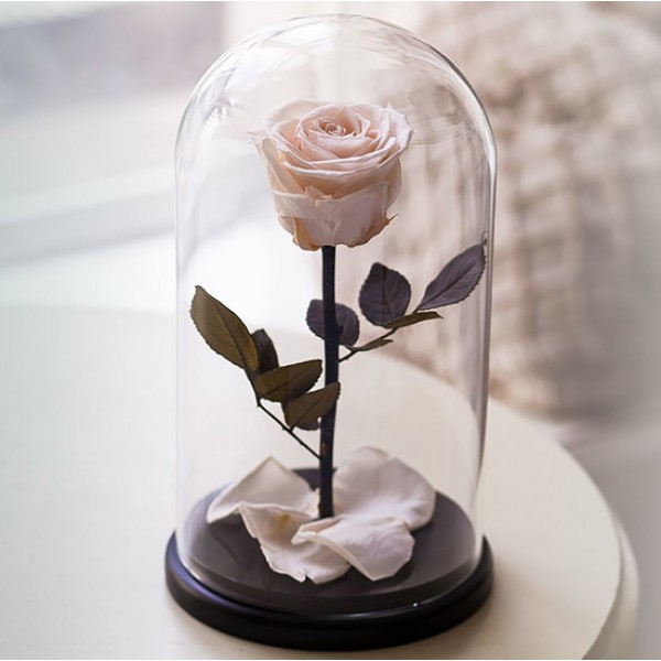 Роза в колбе белая bright