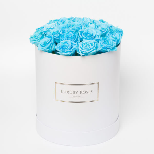 Букет 25 роз цвета тифани в шляпной белой коробке