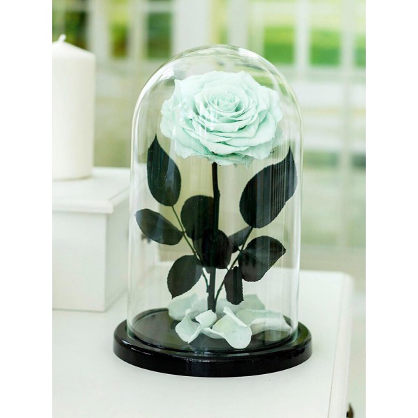 Роза в колбе Royal mint