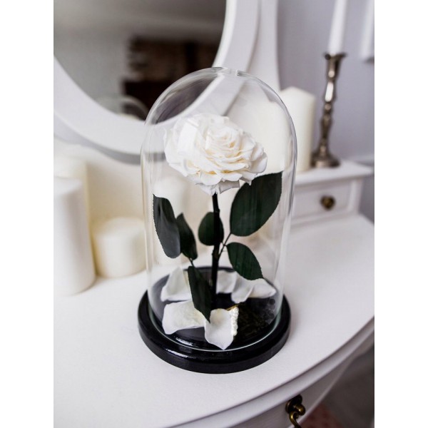 Роза в колбе Royal brigth