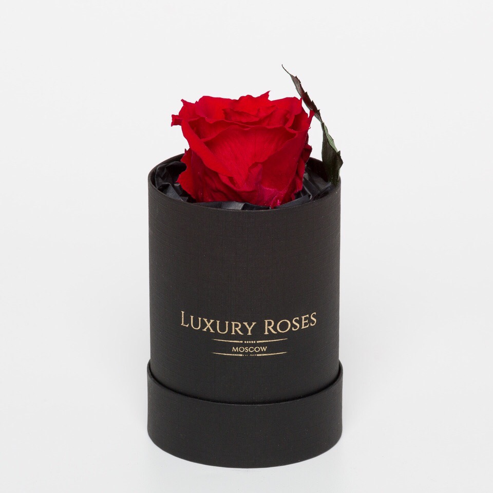 Красная роза в черной шляпной коробке