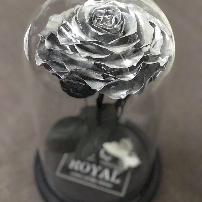 Роза в колбе Royal Silver