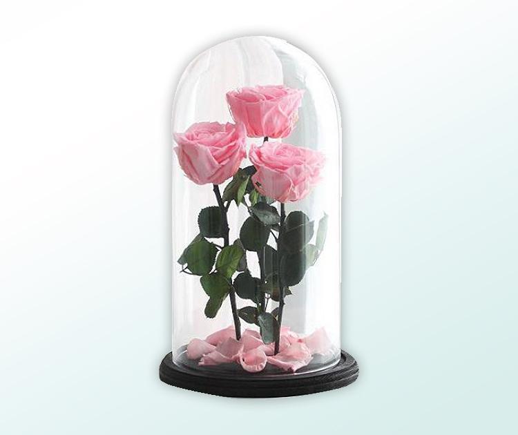 Роза в колбе Trio